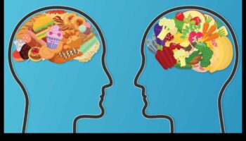 الأنظمة الغذائية طويلة المدى والمرونة العقلية: نهج شمولي