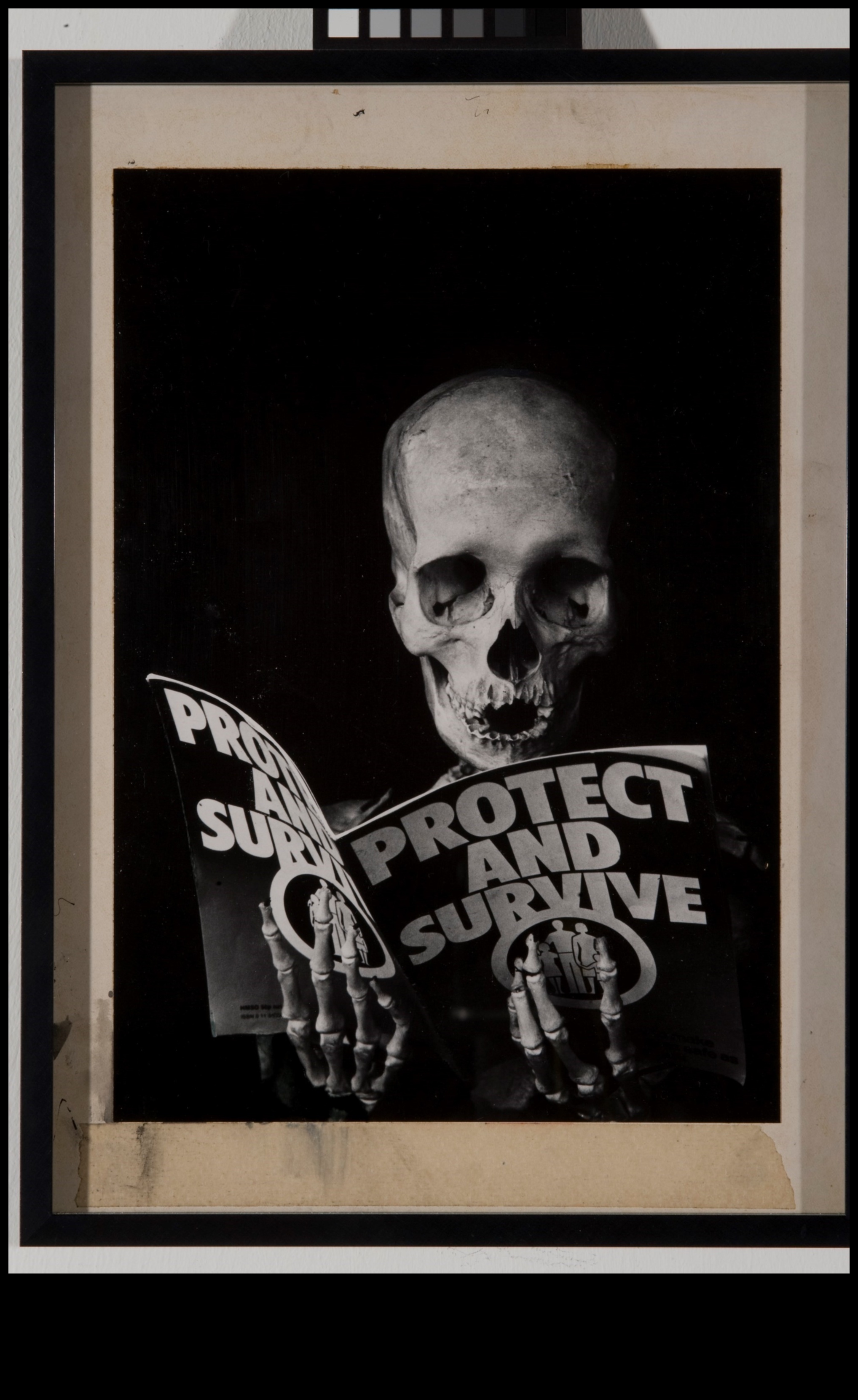 صور سياسية: الفنانون كناشطين في العصر الحديث