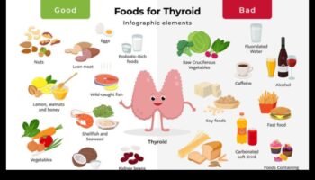حمية زيادة الوزن لعلاج قصور الغدة الدرقية: تغذية جسمك