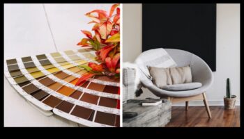 ما هي الألوان التي يمكن أن تجلب الدفء إلى الديكور الداخلي؟