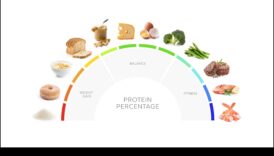 الدليل النهائي للأنظمة الغذائية عالية البروتين: ما تحتاج إلى معرفته