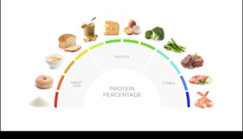 الدليل النهائي للأنظمة الغذائية عالية البروتين: ما تحتاج إلى معرفته