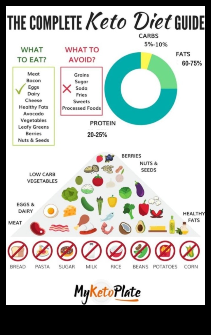 كيتو 101: فهم أساسيات نمط الحياة الكيتوني