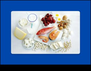 الخرافات الشائعة حول الأنظمة الغذائية عالية البروتين: مفضوحة!