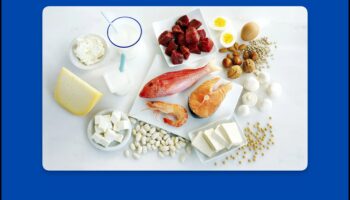 الخرافات الشائعة حول الأنظمة الغذائية عالية البروتين: مفضوحة!