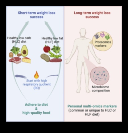 اتباع نظام غذائي قصير الأمد حل سريع أم حل طويل الأمد 2 فن اتباع نظام غذائي قصير المدى: وضع توقعات واقعية
