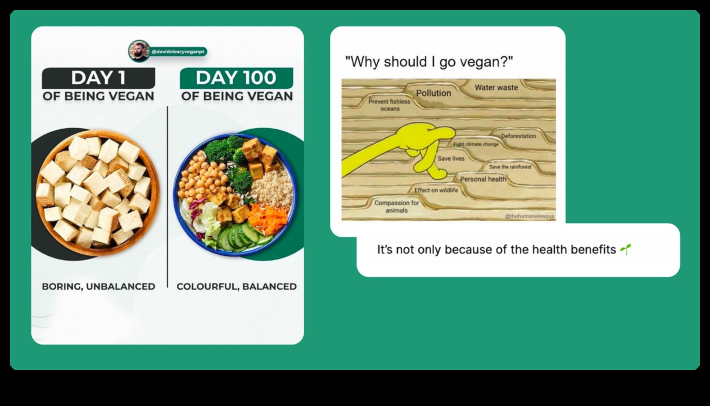 اتباع نظام غذائي قصير الأمد حل سريع أم حل طويل الأمد 4 فن اتباع نظام غذائي قصير المدى: وضع توقعات واقعية