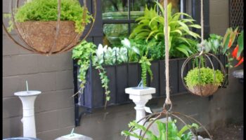 هل يمكنك اقتراح أفكار ديكور حديقة بوهو شيك في الهواء الطلق مع المزارعون المعلقون؟